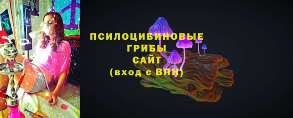 МДПВ Надым