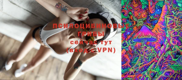 МДПВ Надым