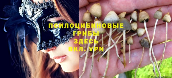 МДПВ Надым